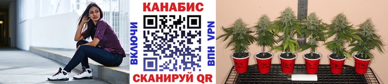 Канабис SATIVA & INDICA  Северо-Курильск 